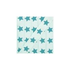 Ruban Froufrou gros grain étoiles aquamarine