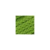 Ruban galon tressé 5 mm vert clair
