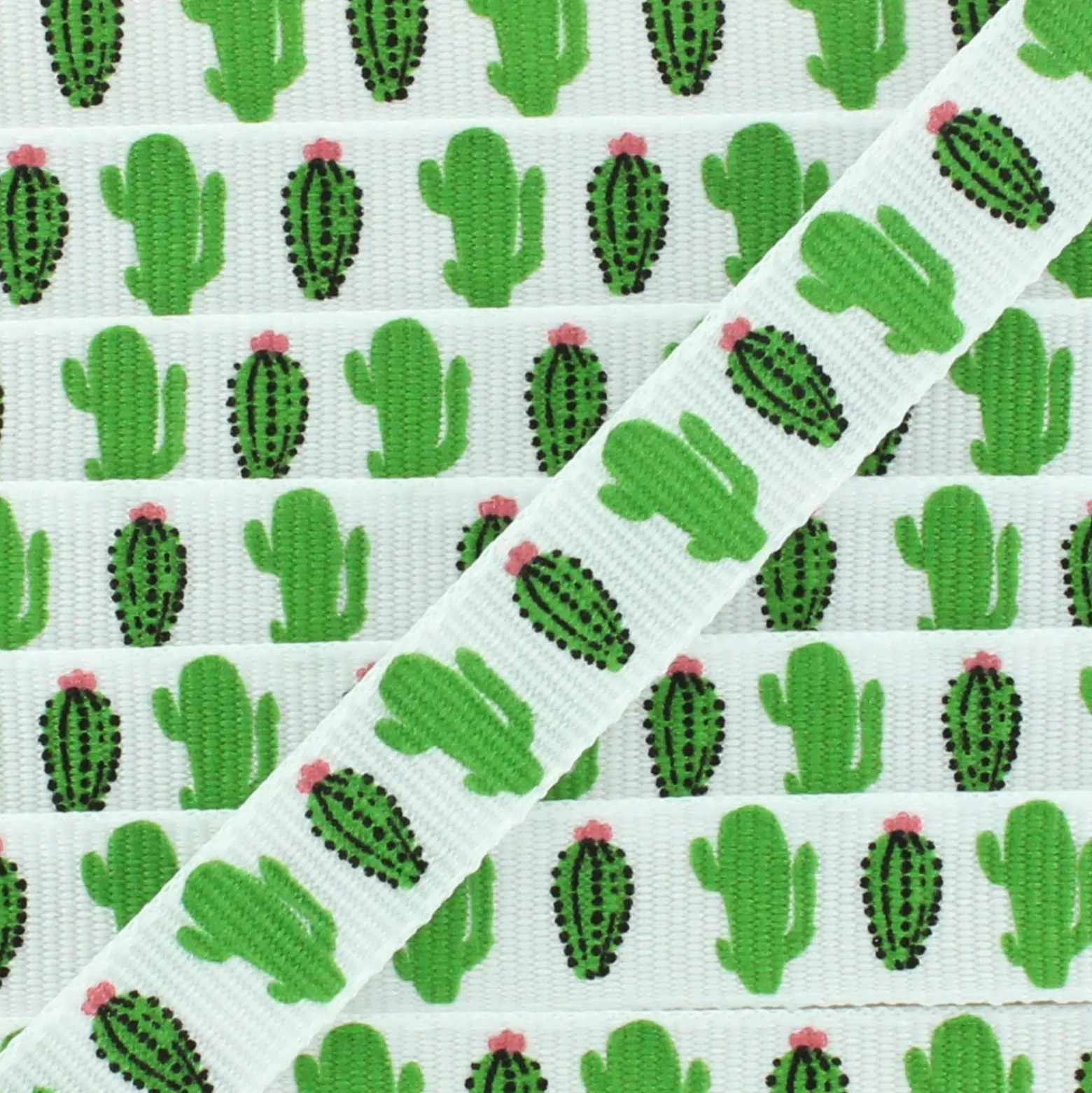 Ruban gros grain Cactus 10 mm - Blanc/Vert