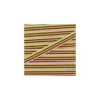 Ruban gros grain Rayures multi 10 mm - anis