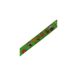 RubanRenards vert