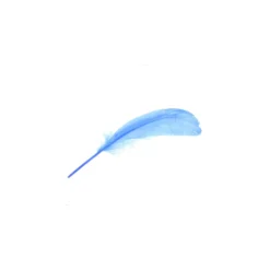 ♥ Sachet de 10 plumes longues bleues ♥