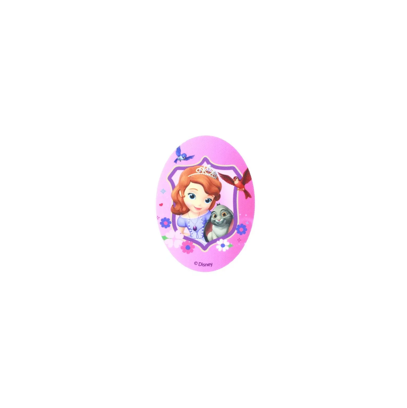 ♥ Thermocollant Toile ovale Princesse Sofia et ses amis ♥