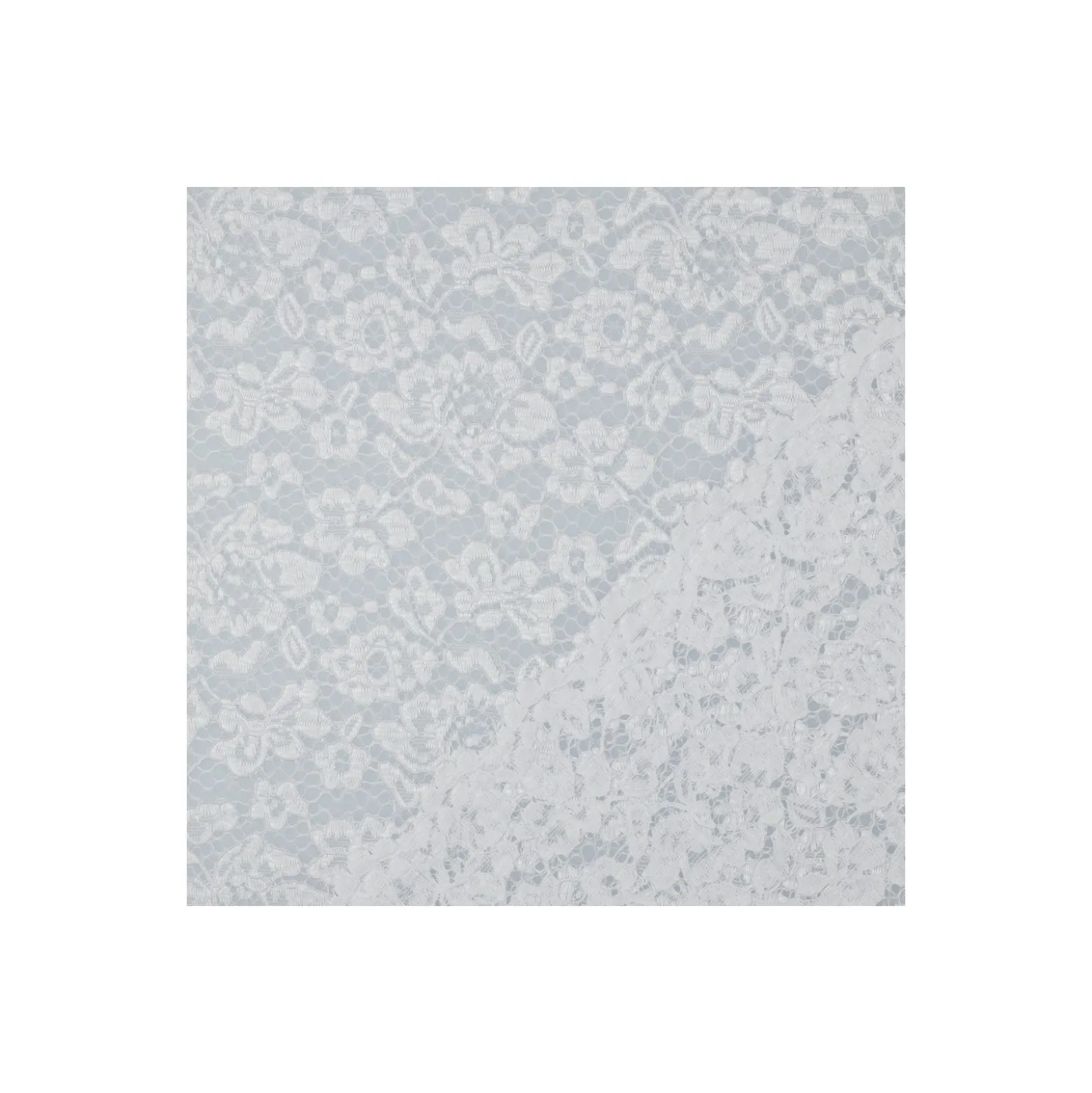 Tissu dentelle festonné - blanc