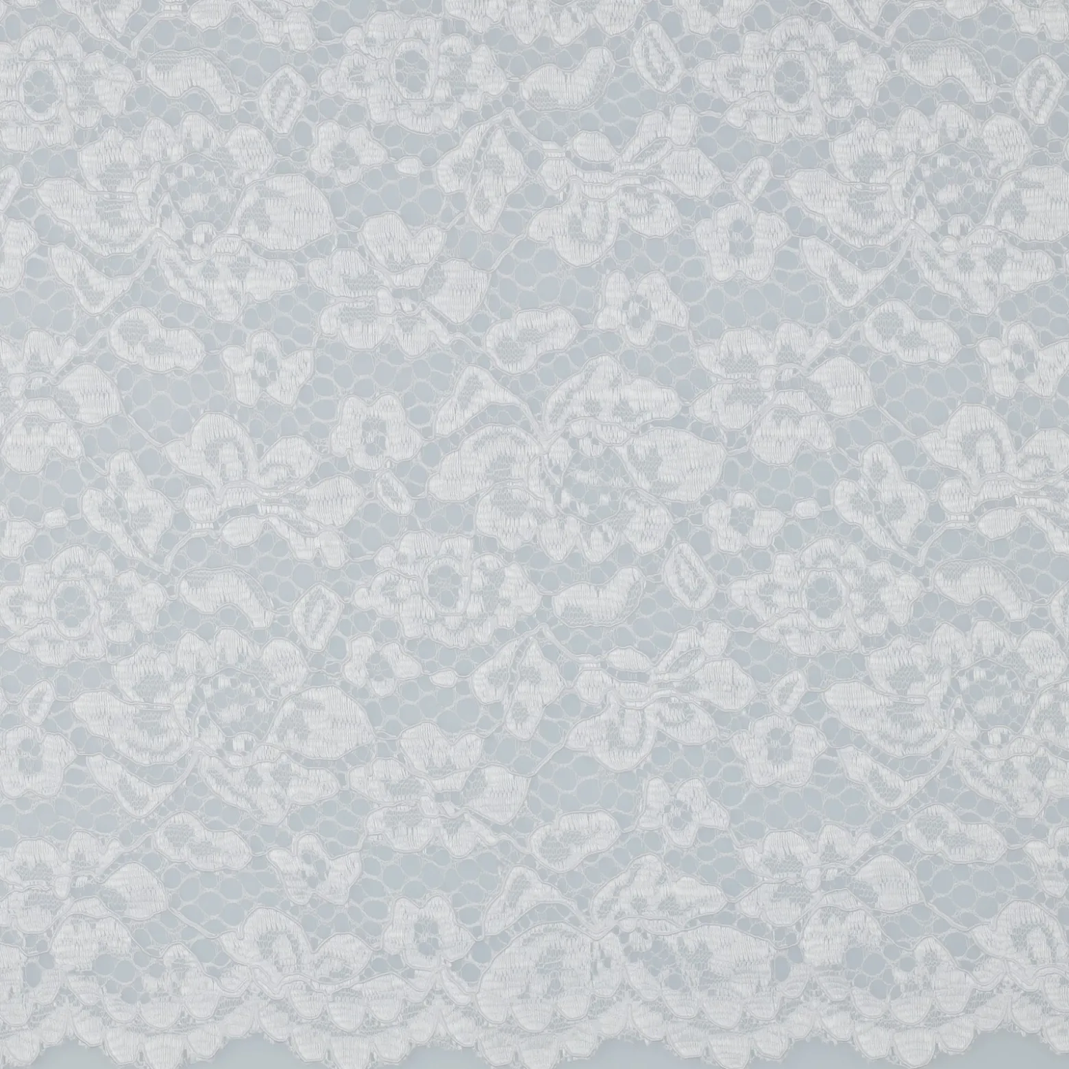 Tissu dentelle festonné - blanc