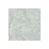 Tissu dentelle festonné - écru