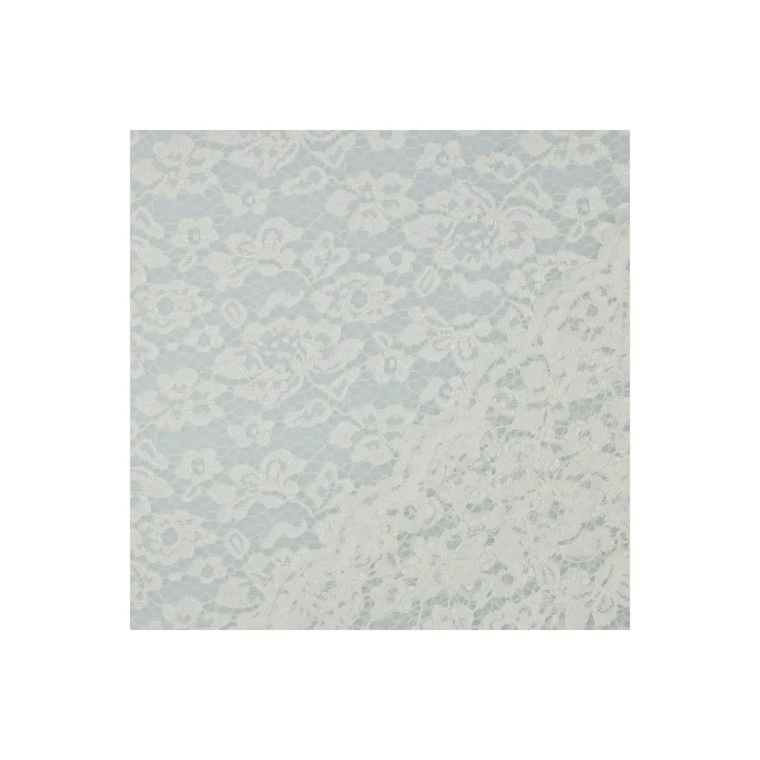 Tissu dentelle festonné - écru