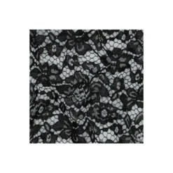 Tissu dentelle festonné - noir