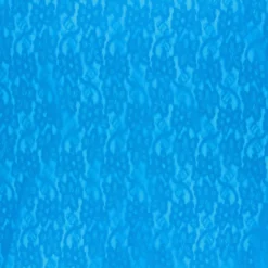 Tissu dentelle stretch Eva