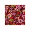 Tissu french terry Poppy Rubia - aubergine