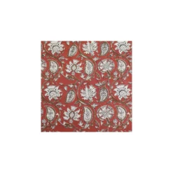 Tissu indien Raghura - terracotta
