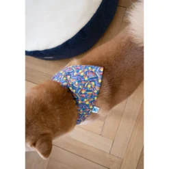 Tissu Liberty - Buttercup A