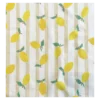 Tissu éponge monoface Lime - écru