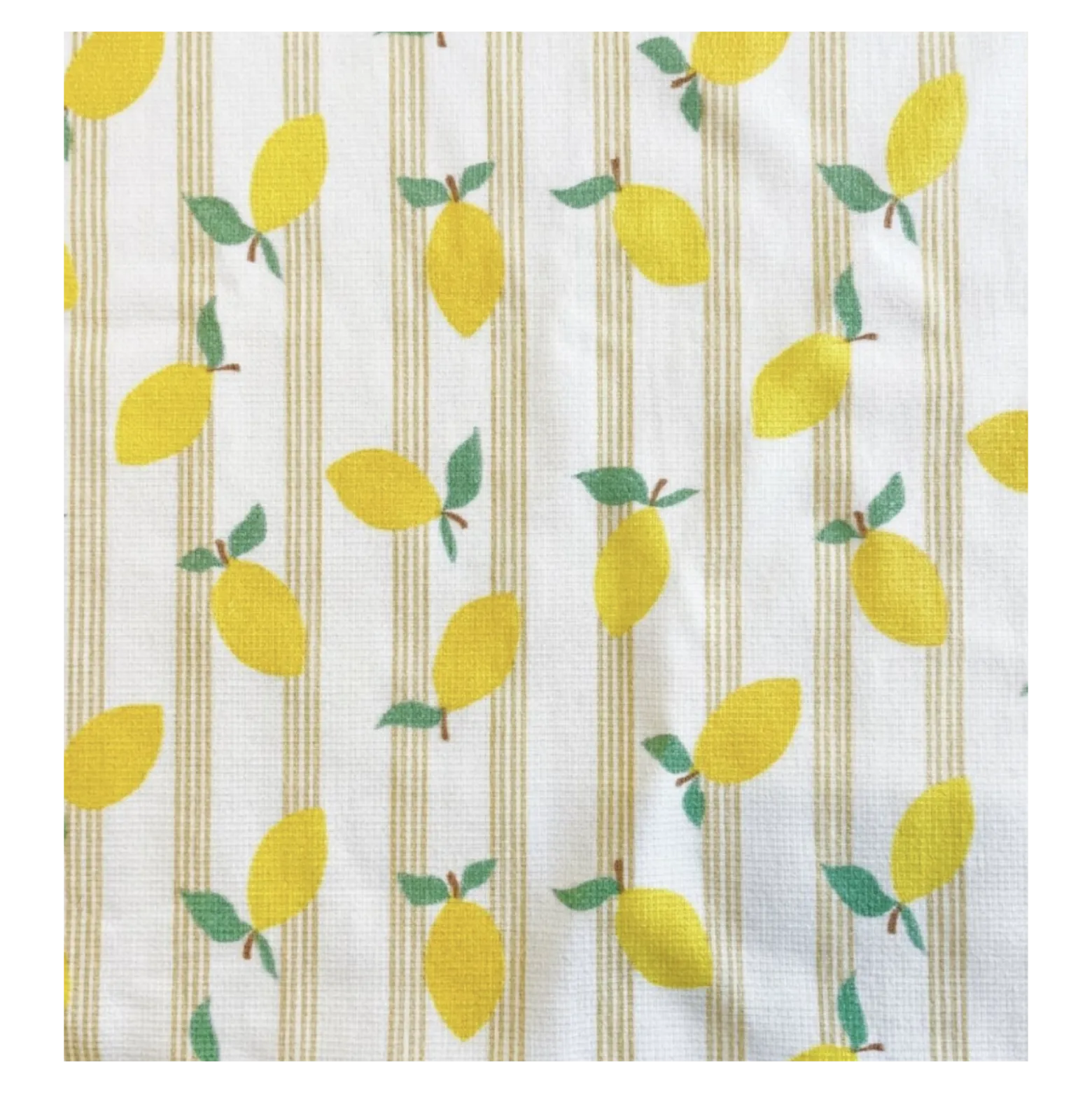 Tissu éponge monoface Lime - écru