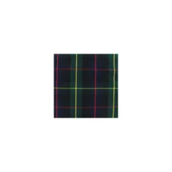 Tissu tartan écossais Lochaber - marine/vert