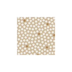 Tissu toile cirée Captain Cook Dotti - beige