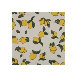 Tissu toile de coton aspect lin enduit Citron - naturel