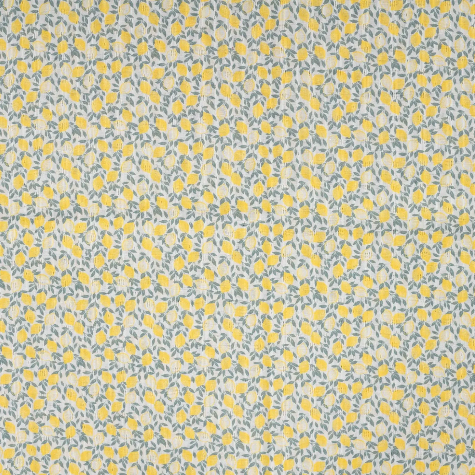 Tissu voile de coton ajouré Lemoncella - écru